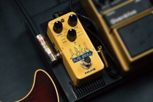 Read more about the article Nu-X  A/B Roll Octave Loop Pedal